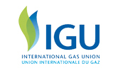 International Gas Union