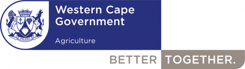 Western Cape Government